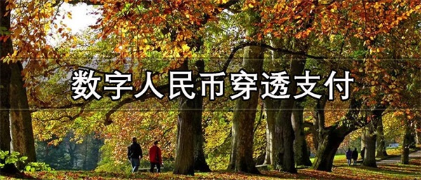 数字人民币穿透支付首例曝光！雄安新区再添全新发薪方式！